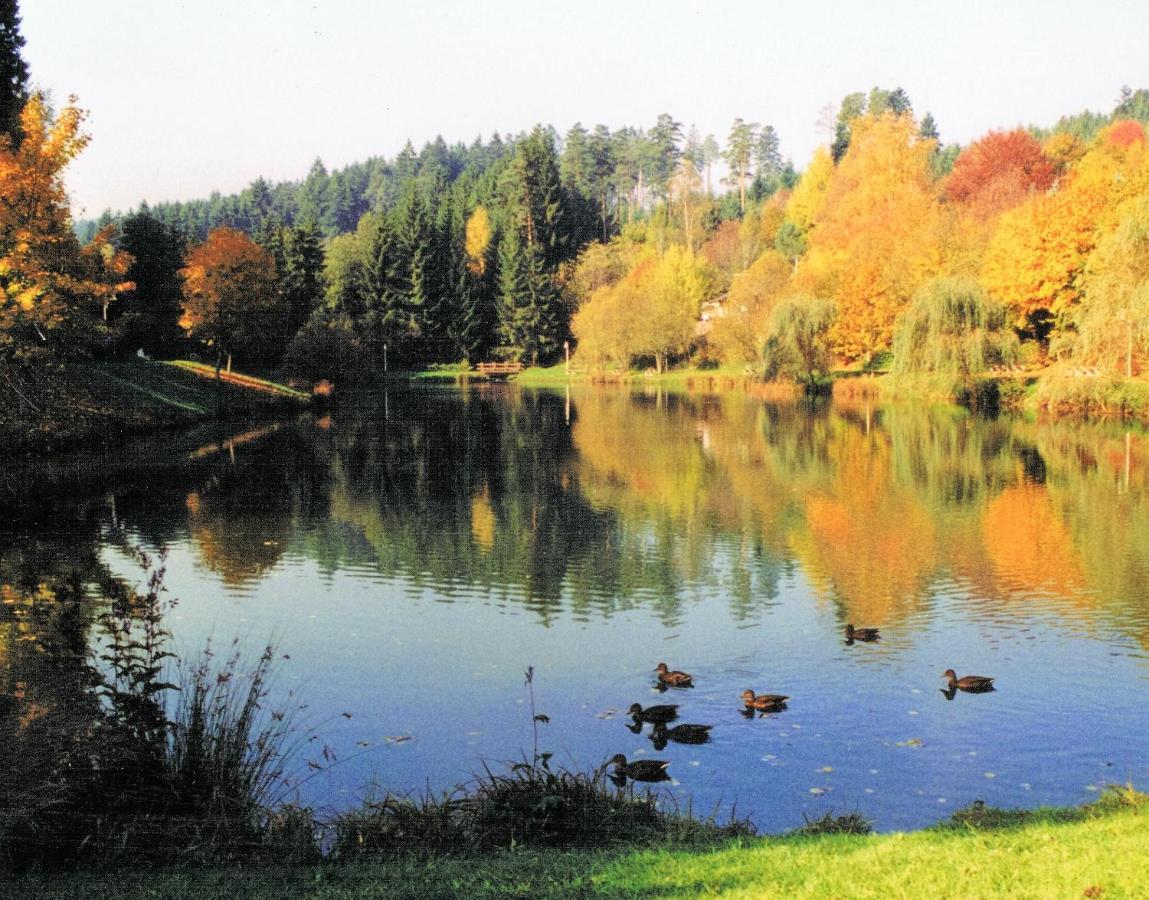 Hotel Breitenbacher Hof Waldachtal Luaran gambar