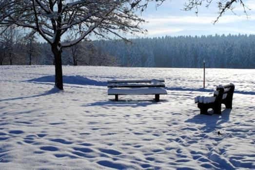 Hotel Breitenbacher Hof Waldachtal Luaran gambar